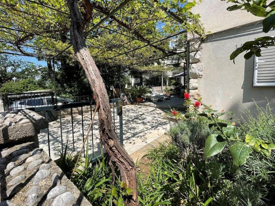 Apartment Nono Moj Dubrovnik Dış mekan fotoğraf